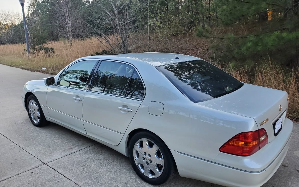 WhatsApp Image 2022-11-17 at 17.21.33