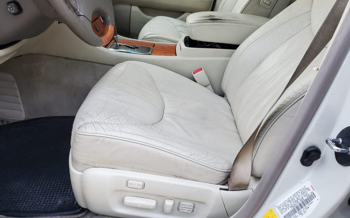 WhatsApp Image 2022-11-17 at 17.21.33 (6)